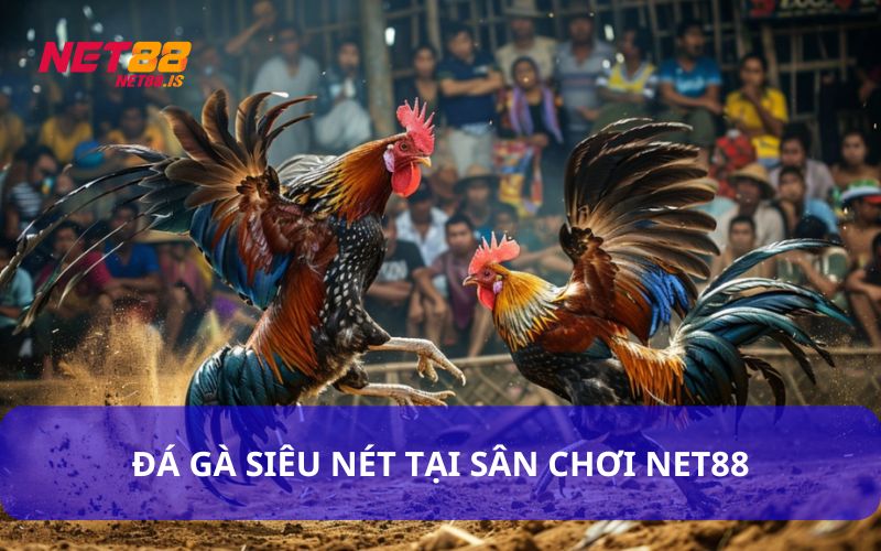 Đá gà hấp dẫn tại Net88