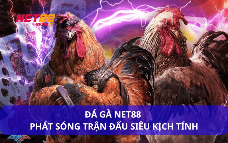 Đá gà Net88 siêu hấp dẫn