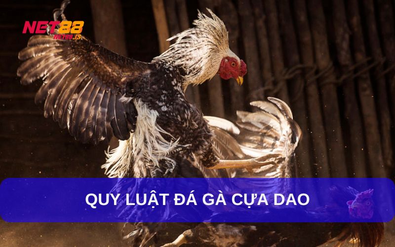 Luật thi đấu trong đá gà cựa dao