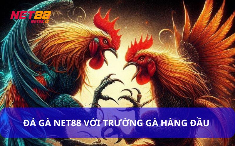 Các trường gà đẳng cấp tại Net88