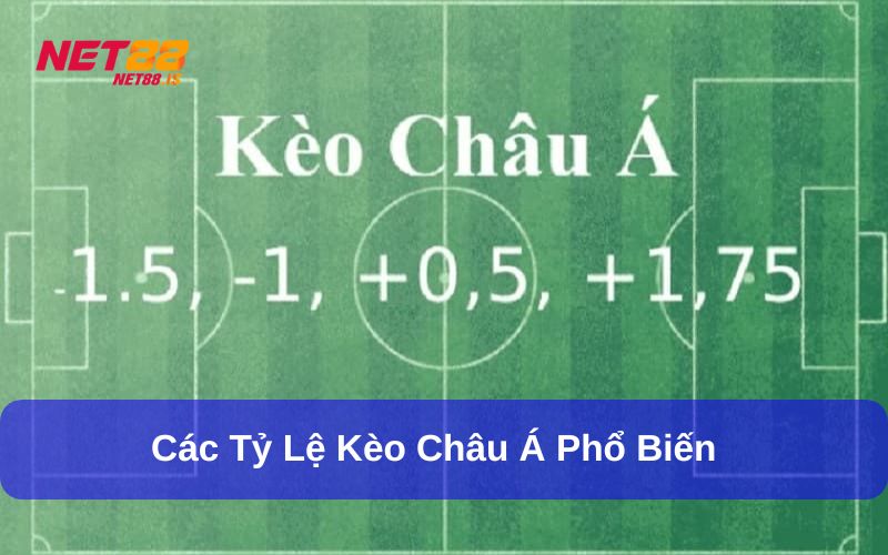 Kèo Châu Á có nhiều hình thức đặt cược